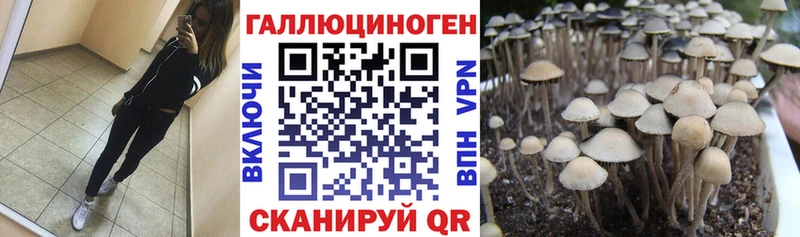 mega ТОР  где купить наркоту  Тобольск  Галлюциногенные грибы прущие грибы 